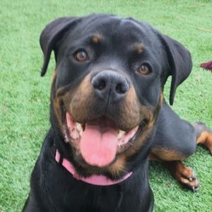 Meet your Posher, Vince